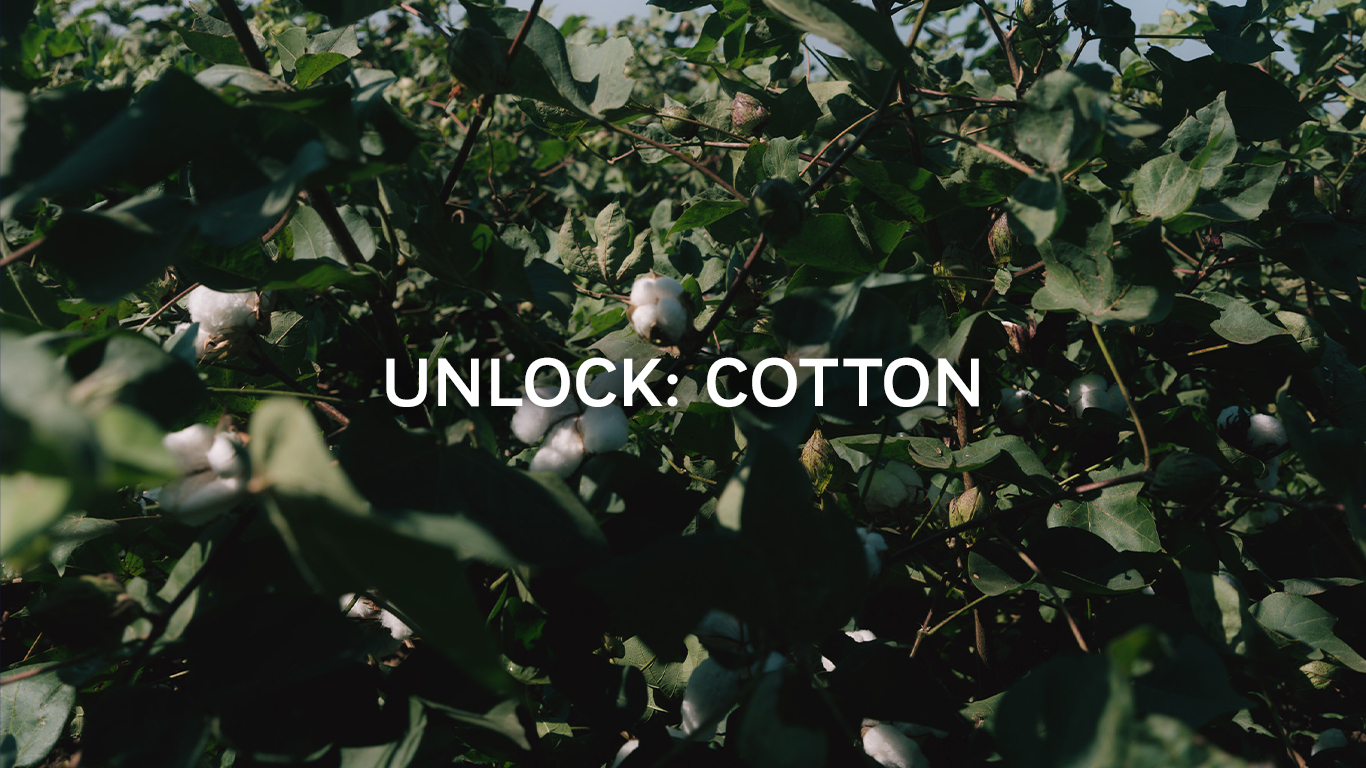 Cutting edge collective financing mechanism to decarbonise cotton production announces pilot results and plans to scale